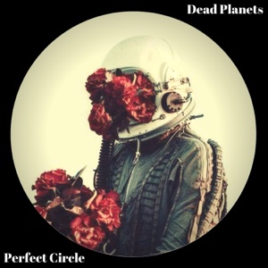 Perfect Circle - Single