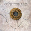 Whitesnake