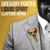 Liquid Spirit (Claptone Remix) - Gregory Porter