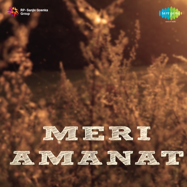 Meri Amanat (Original Motion Picture Soundtrack) - EP