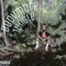Bodymore Jungle - Nbs Chopp lyrics