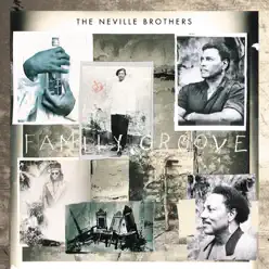 Family Groove - Neville Brothers