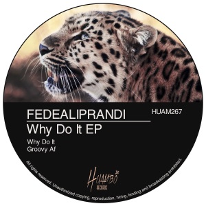 Why Do It EP