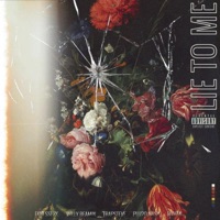 Lie to Me (feat. Fxnesse, Willy Beamin', TrapSteve & Plu2o Nash) - Single - Djjvan