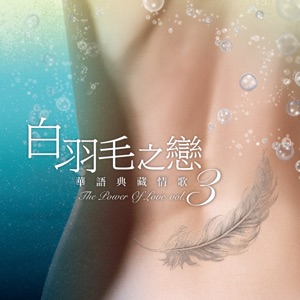Tsai Chin (蔡琴) - Just Like Your Tenderness (恰似你的溫柔) - Line Dance Music