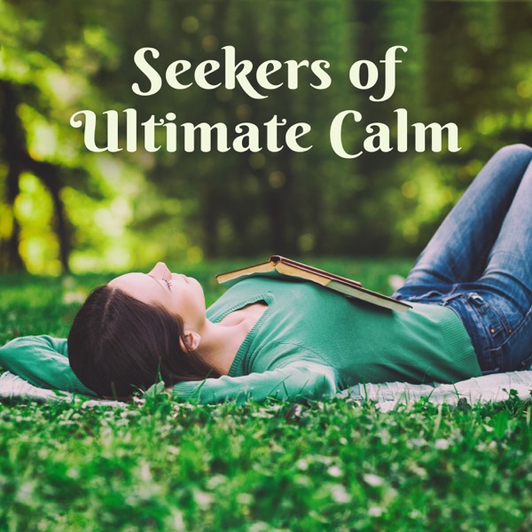 Seekers of Ultimate Calm - Need of Relaxation, Wellness Journey, Silence Brings Peace, Achieve Serenity