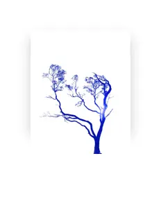 Listen to Blue Arbutus, watch music videos, read bio, see tour dates & more!