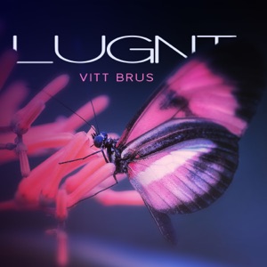 Lugnt vitt brus: Djup avkoppling terapi