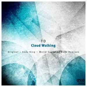 Cloud Walking - Single