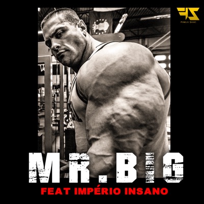 Mr. Big (feat. Império Insano) - Single