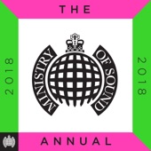 Noel Burgess - The Annual 2018 (Continuous Mix 2)