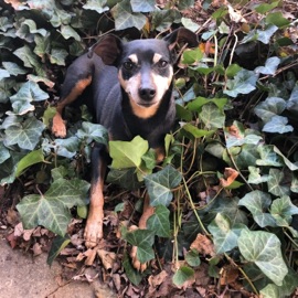 Screwdriver (feat. Untitld) Vide