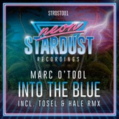 Into the Blue (Tosel & Hale Remix) artwork