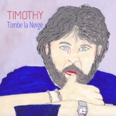 Tombe la Neige artwork