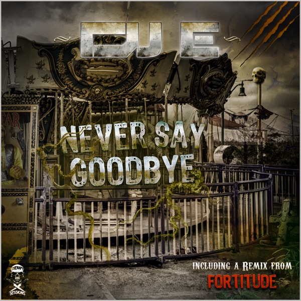Never Say Goodbye - Single
