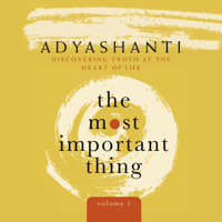 Adyashanti - The Most Important Thing, Volume 1: Discovering Truth at the Heart of Life (Original Recording) artwork