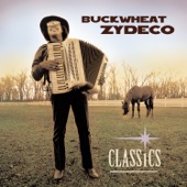 Buckwheat Zydeco - Hot Tamale Baby
