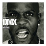 DMX - Party Up