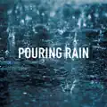  - Rain Downpour