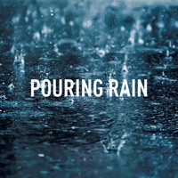  - Rain Downpour