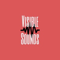 Visible Sounds - Single - Ettrick Shepherd