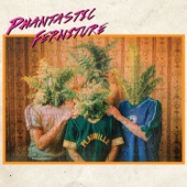 Phantastic Ferniture - Gap Year