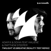 Twilight vs. Breathe (feat. Haliene & Matthew Steeper) [Reality Test Remix] - Single