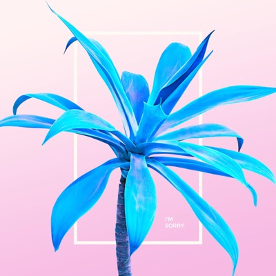 I'm Sorry - Single