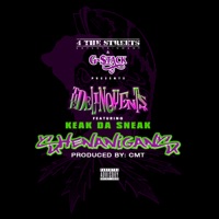 Shenanigans (feat. Keak da Sneak) - Single - The Delinquents, G-Stack & V. White