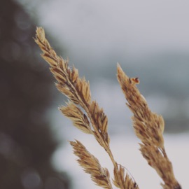 It'll Never Change (feat. Dion Dugas) Hateful