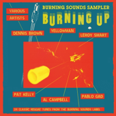 Burning Sounds Sampler Burning Up
