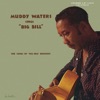 Muddy Waters - I Feel So Good