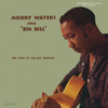 I Feel So Good - Muddy Waters