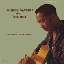 Muddy Waters Sings "Big Bill" - Muddy Waters