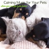 Calming Music for Your Pets When You Are Far from Home