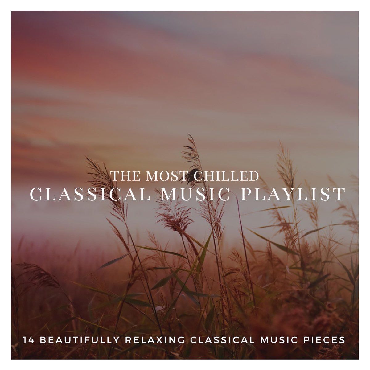 ‎the Most Chilled Classical Music Playlist 14 Beautifully Relaxing Classical Music Pieces 3717