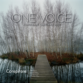 One Voice - Conspirare Christmas 2012 (Recorded Live at the Carillon) - Conspirare & Craig Hella Johnson