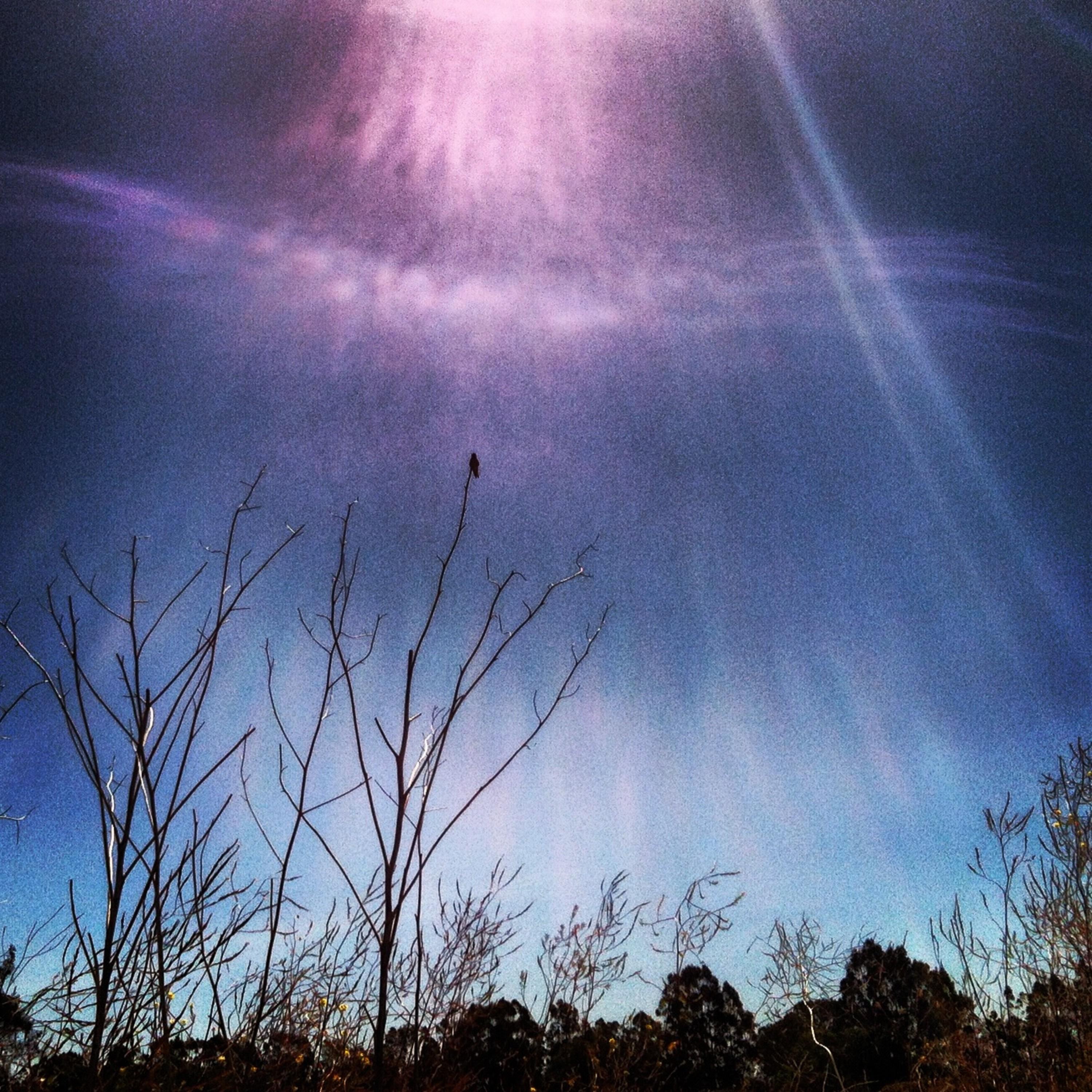 Kwajbasket - Freqzcks