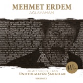 Ağlayamam (Ahmet Selçuk İlkan Unutulmayan Şarkılar, Vol. 2) artwork