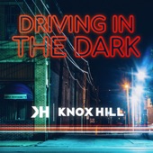 Driving in the Dark artwork