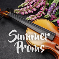 Various Artists - Summer Proms artwork