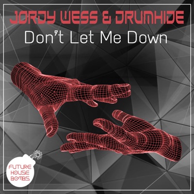 Don't Let Me Down (feat. Drumhide) - Single