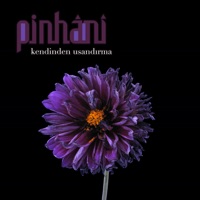 Kendinden Usandırma - Single - Pinhani