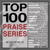 Top 100 Praise Series artwork