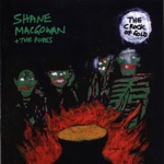 Shane MacGowan & The Popes - Rock 'N' Roll Paddy