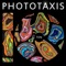 Woman (feat. Hemi Rudner) - Phototaxis lyrics