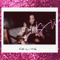 Ceiling - Single - SÜ