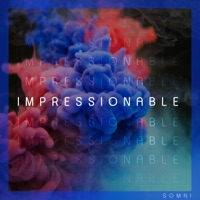 Impressionable - Single - SETH SOMNI