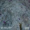 Wysiwyg (feat. Pambour) - Denzel Roberts lyrics