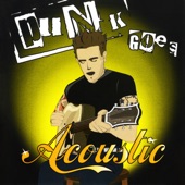 Punk Goes Acoustic artwork